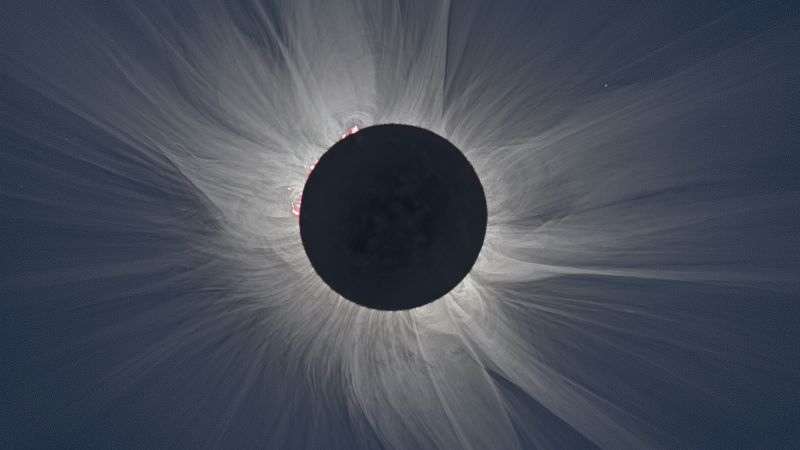 Illustration for article titled LlegĂł el dĂa del eclipse: esto es todo lo que tienes que saber sobre el espectáculo visual del año